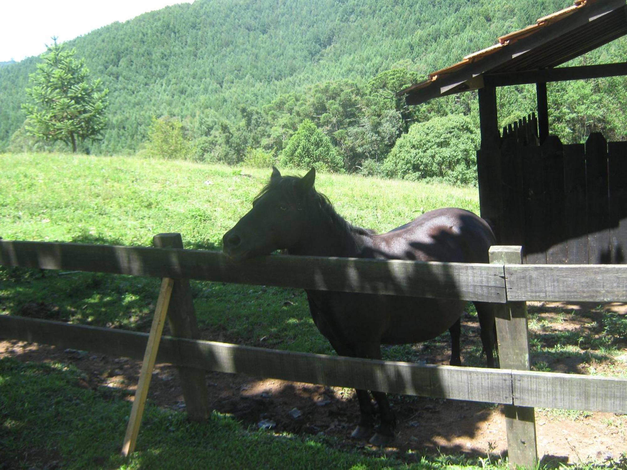 Willa Caminho Do Sol Monte Verde  Zewnętrze zdjęcie